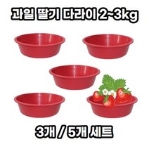 딸기 대야 다라이 세트 2kg~3kg 3개 5개 귤 상추 바스켓 과일 바가지 플라스틱 다용도 빗물 저장