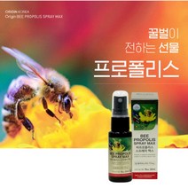 환절기 잘때 잔기침 마른기침 목이 답답 간질간질 기관지 목이물감 에 좋은 면역 증진 만성 피로 영양제 목 염증 제거 스프레이, 30ml, 1개