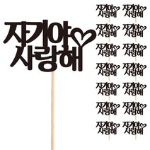 비비드레인 꽃다발 화분 떡 케이크 장식 데코 메세지픽, 09-자기야사랑해(15개)
