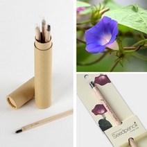 꿈쟁이 지관필통 씨앗연필 3P 식물기르기 방울토마토 허브바질 해바라기 나팔꽃 봉선화, 허브(바질)