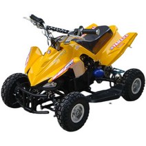 4륜오토바이 소형 산악용 전기 네발 바이크, 녹색