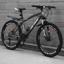 수입자전거 출퇴근용 입문용 반조립 클래식 팻바이크 로드, 27speed, Spokes Iron Gray