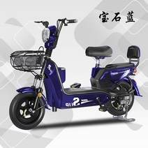 같은 단락 Wule 전기 자전거 장거리 달리기 왕 남녀 성인 스쿠터와 함께 새로운 국가 표준 Emma 새 Yadi 새로운 날, 48v, 12아, 2-특수 블랙 골드 24a 배터리 수명 90km -