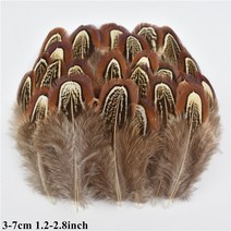 천연 공작 꿩 깃털 작은 닭 거위 플라이 묶는 재료 수공예 액세서리 장식 도매, 01 Size 3-7CM_01 20 Piece