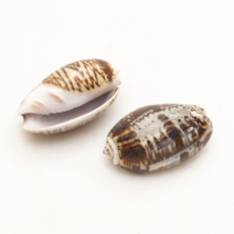 오꿈 조개껍질 조개껍데기 소라껍데기 소라껍질, C07 타공조개껍질 접이고둥, 봉