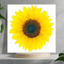 엘티에프티 해바라기 캔버스 액자 돈들어오는 그림액자 풍수액자 집들이선물 개업선물 인테리어액자 선물 액자선물, 1. 해바라기 한송이(정방형), 1. 4호(S)