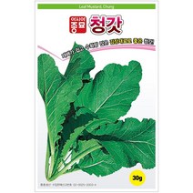 아시아종묘 가을김장 청갓씨 갓씨앗 종자 30g