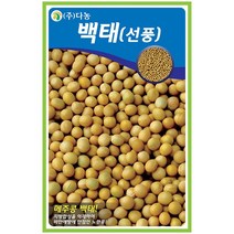 땅콩 30g - 씨 씨앗 콩 콩씨앗 콩씨 땅콩씨 땅콩씨앗 채소씨앗 채소씨, 07_다농_백태(선풍)(30g)
