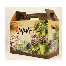 황칠나무즙 엑기스 국내산 100ml 60포 1박스, 단품, 단품