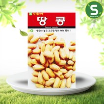 솔림텃밭몰 땅콩씨앗 20g 햇땅콩 열매 콩씨앗 재래종