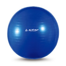 STAR 스타 짐볼 65cm(펌프포함) EB200, 블루