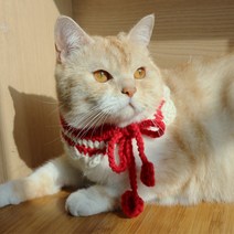 주썸 고양이 강아지 새싹반케이프 핸드메이드 손뜨개, 분홍