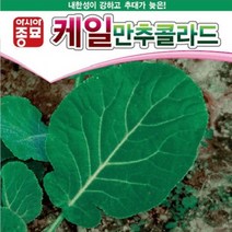 아시아종묘 케일종자씨앗 만추콜라드(10g)