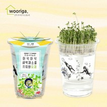 우리가스토리 미니화분키우기 꽃 화초 공기정화식물 새싹 허브 텃밭 화분 상추재배 새싹키우기, 1팩, 한컵새싹농장_유채