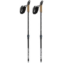Salomon 폴란드 Vario