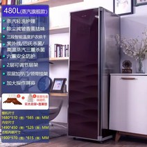 의류관리기 옷드라이 미국 완전 자동 스팀 다림질 의류 관리 기계 가정용 건조기 주름 제거 캐비닛, 2. 주력 스팀 다림질 및 건조 모델 480L 짙은 갈