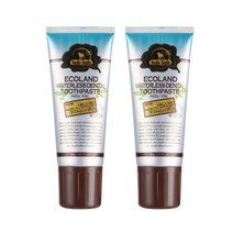 부들부들 에코랜드 애견 바르는치약, 80g, 2개