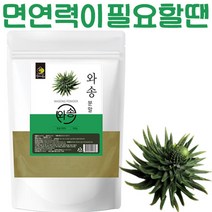 순수 자연산 와송 분말 500g 가루 생 바위솔 기와솔 국산 약초