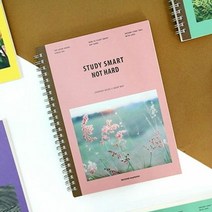 스프링 노트 30일 만년형 스터디 플래너 체계적 학습, 단품