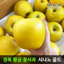 이츠올릿 경북 시나노 골드 황금 꿀사과 5kg (가정용 꼬마과 25-28과) 노란 스위트 사과 청송 밀양 얼음골