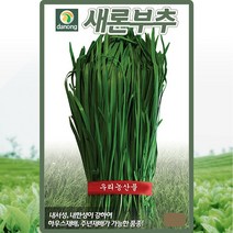 새론 부추 씨앗 부추 씨 종자 8g, 1개