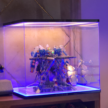 비접착 Led 아크릴케이스 소형 미니 박스 프라모델 피규어 레고 장식장 진열장 보관함 케이스, 20x20x20