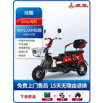 다인승 오토바이 삼륜 전동차 세발 전기 스쿠터 미니 카트 미니 노인 장애인, 600W 모터48V12Ah 납산 배터리