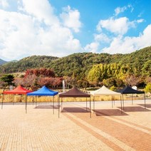 야외행사 홍보 광고용 캐노피 대형 천막 골조 지붕 야유회용, DZ천막2X2 크림