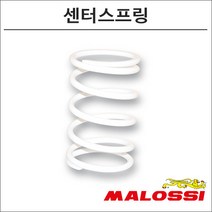 말로시 포르자300 센터스프링 2913316 오토바이 스쿠터튜닝, 1개
