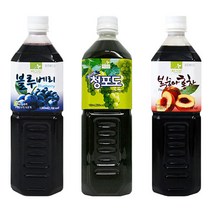 차그림 과일원액 1000ml / 블루베리 복숭아홍차 청포도 / 음료베이스, 프리미엄 청포도 1000ml