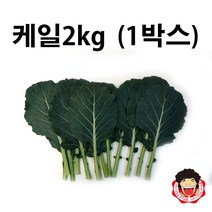 똘박이 케일, 1박스, 2kg