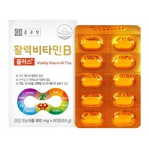 종근당 활력 비타민B 플러스, 60정, 9개