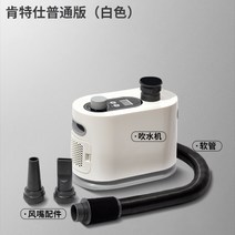 반려동물 드라이기 펫 드라이어 가정용 업소용 에어탱크 애완동물 털말리기, Kentes물송풍기일반버전(흰색)