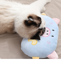 강아지 고양이 베개 애착 인형 꿀잠 반려동물 장난감 겸용 배게 댕냥쿠션 개 기절 배개, 블루, 돼지베개