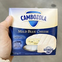 혐육97.2 샴피뇽 깜보졸라 124.9g x 1개, 아이스보냉백포장