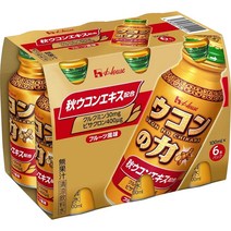 하우스 우콘의 힘 숙취해소 드링크 100ml 6병세트, 1개
