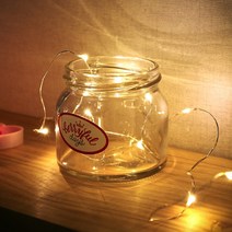 1M 10구 LED 와이어전구 5P(웜색) 트리전구(건전지)