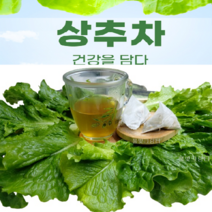 수면에 도움되는 국산 상추차_풀빛그림터, 상추차