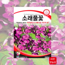 소래풀 꽃 씨앗 제갈채꽃종자 500립 / 봄 여름 가을 꽃씨앗 홈가드닝, 1개