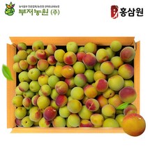 광양 유기농 홍매실 특상품 10kg 2박스 6월29일발송, 홍매실특상품 10kg 2박스 6월중순예약