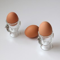 계란받침 저렴한 가격으로 만나는 가성비 좋은 제품 소개와 추천