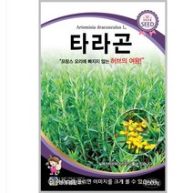 타라곤 2000립 / 허브 씨앗 종자 꽃밭만들기 화단만들기