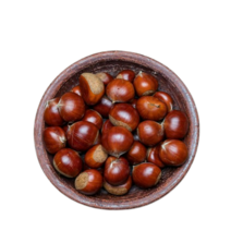 국내산 23년 첫 수확 명품 초신선 햇밤 탱탱밤, 1개, 대1kg