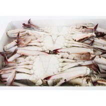냉동숫꽃게라운드4kg(200~300g) 15~16미내외양념게장, 단품