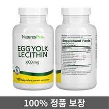 네이처스플러스 계란 노른자 난황 레시틴 300mg 180캡슐, 1개