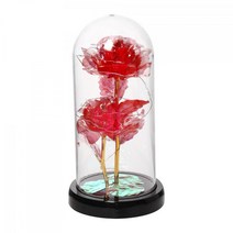 QDY 결혼 발렌타인 데이를위한 영원한 꽃 꽃 여자, 12x23cm, 플라스틱, 빨간색