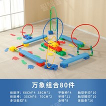 감각통합치료 특수체육 감통 감각통합 놀이 기구 도구, 비엔티안 조합 80개 세트