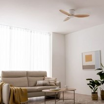 스피아노 샌디 미니 107cm DC 우드 실링팬 SCF-SW52070, 선택:바디:화이트/날개:화이트