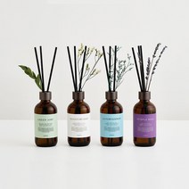 에이센트 네이처 디퓨저 본품형 200ml x 2p 세트, 쥬시프룻, 1개