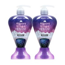 LG생활건강 [LG생활건강] 히말라야 핑크솔트 바이옴 펌핑치약 285G 치약, 2개